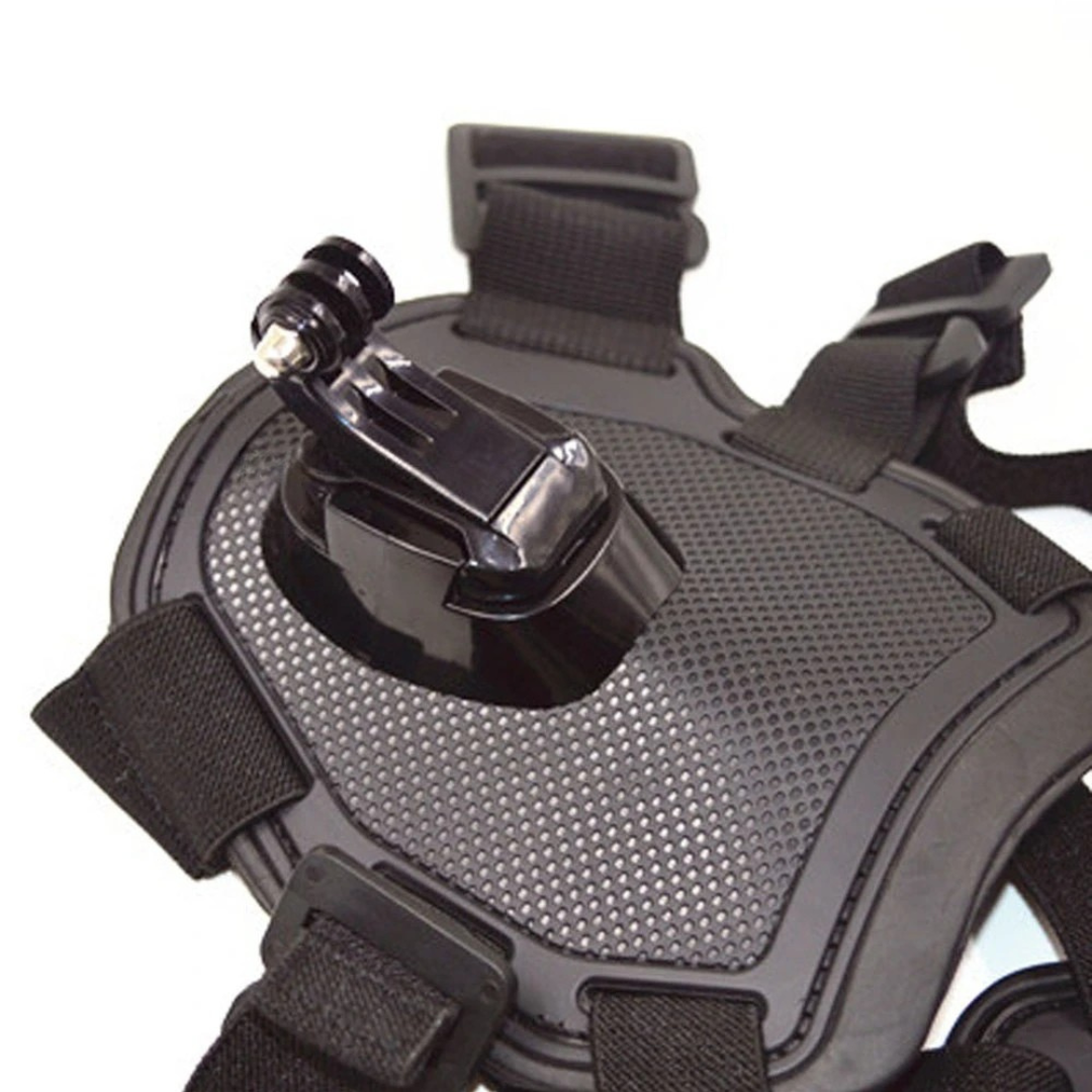 Adjustable Dog Action Camera Harness