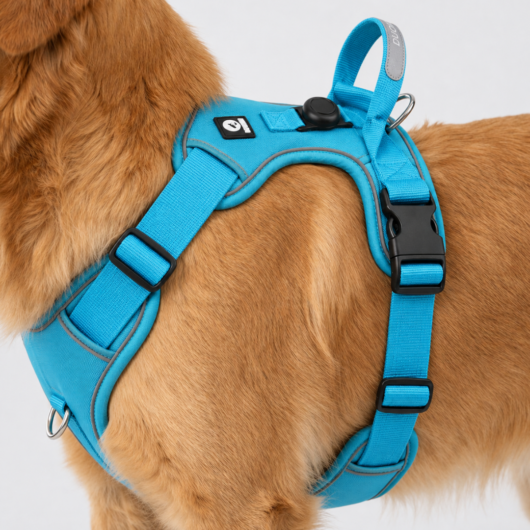 Adjustable No-Pull Dog Harness