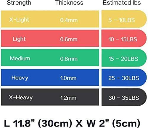 Resistance Loop Bands with Workout Poster 16.5”x 22.4”,Set of 5 Exercise Bands for Crossfit Workout and Physical Training