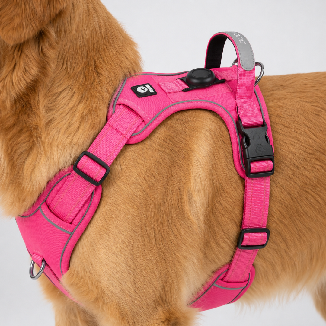 Adjustable No-Pull Dog Harness