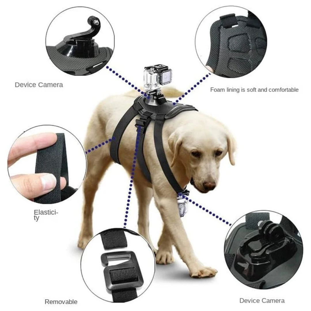 Adjustable Dog Action Camera Harness