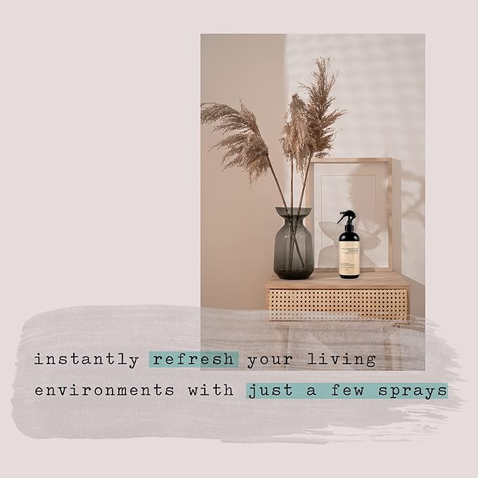 Air Essentials Air Freshener & Odor Eliminator Spray - 12 oz, Pack of 2 - Made with Pure Essential Oils - Eucalyptus Mint Scent