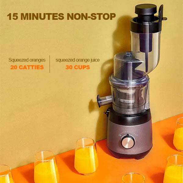 Automatic Juicer - Juicer Household Residue for Fruits and Vegetables