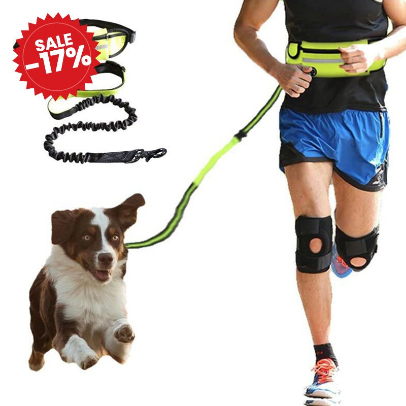 Hands-Free Dog Leash with Bungee - SALE -17%