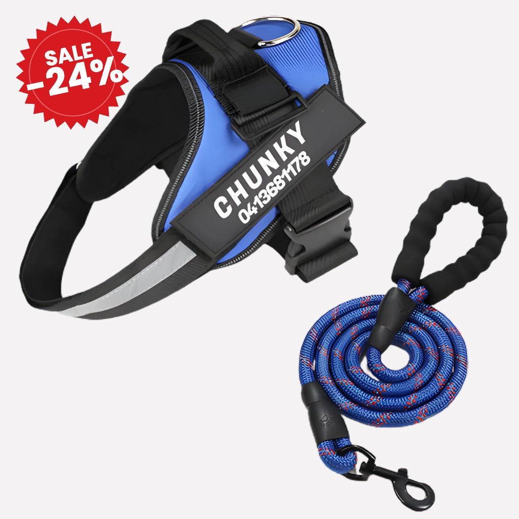 Personalized Anti-Pull Dog Harness - SALE -24%