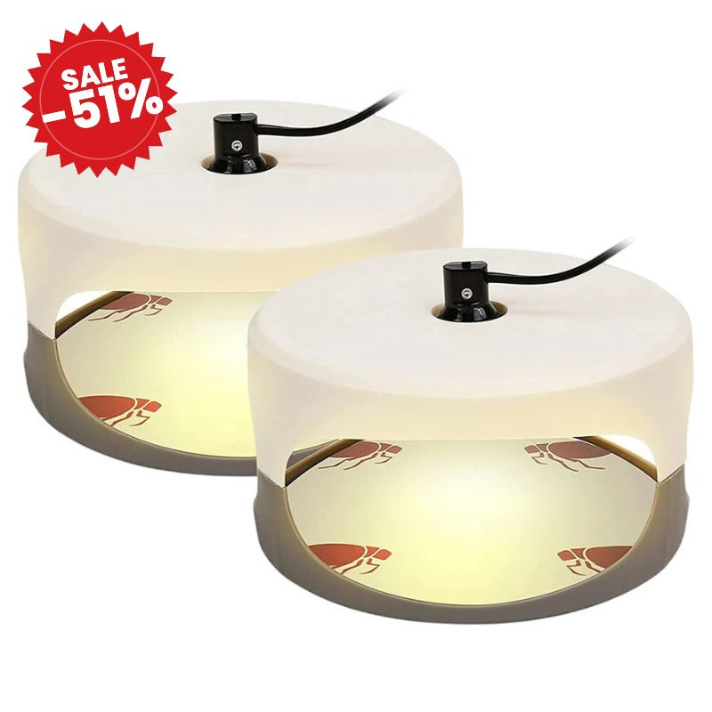 Indoor Bed Bug Trap - SALE -51%