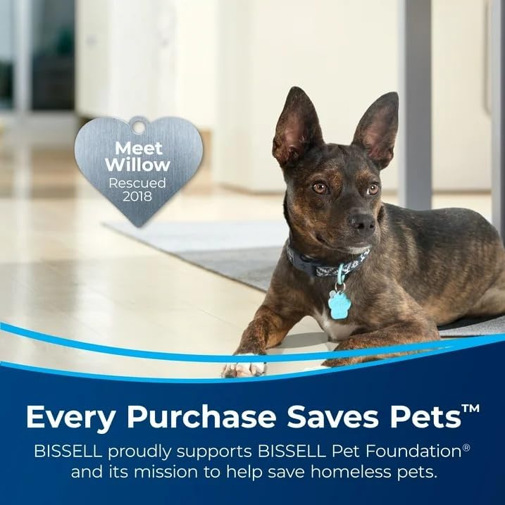 Generic BissellPet - Little Green Multi-Purpose Portable Carpet and Upholstery Cleaner, Car and Auto Detailer, with Exclusive Specialty Tools, Silver