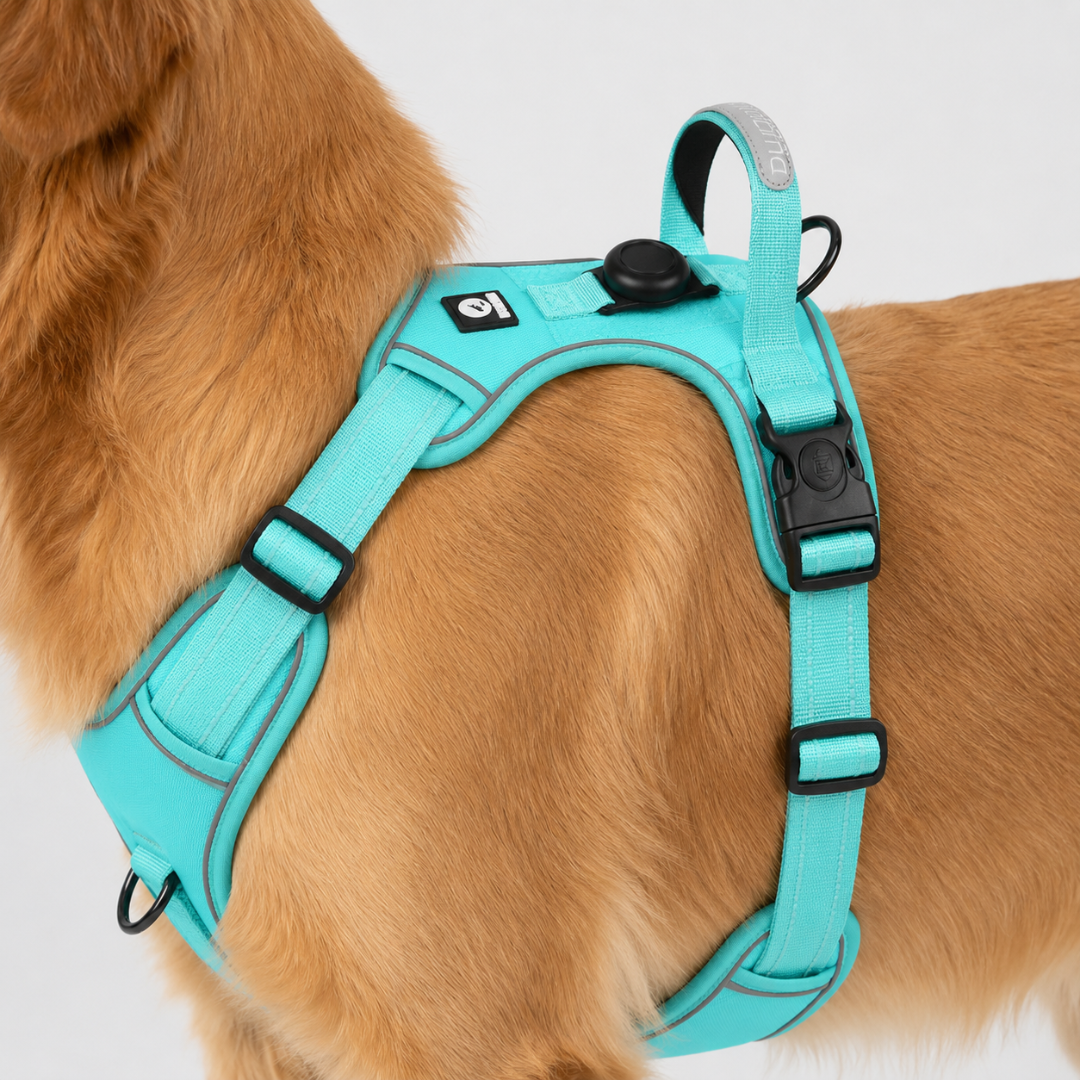 Adjustable No-Pull Dog Harness