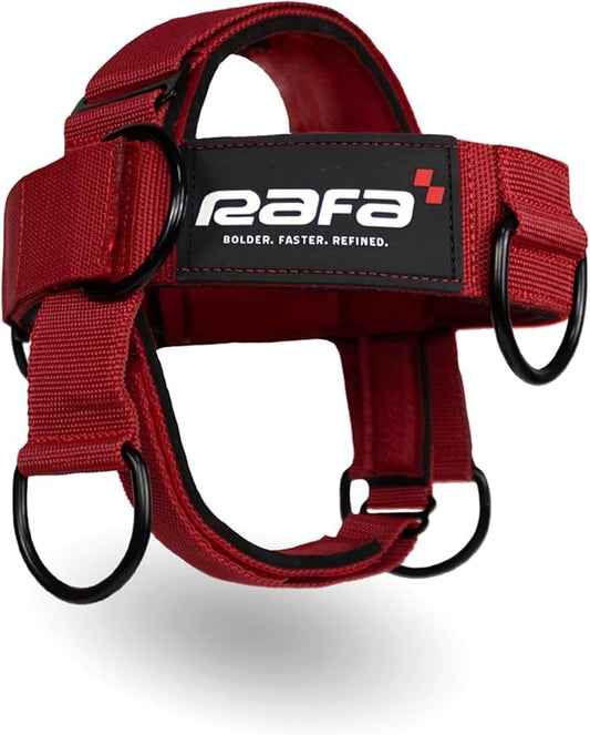 Iron Neck , Versatile Neck Exerciser, Strengthener and Trainer with Adjustable Head and Chin Strap, Portable Head Harness for Weight Lifting, Home and Gym Use