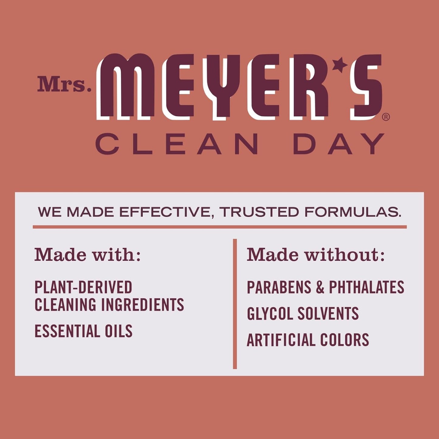Mrs. MEYER'S CLEAN DAY Multi-Surface Cleaner 2 Pack Variety, 16 OZ Each, 1 CT (Apple Cider + Fall Leaves)