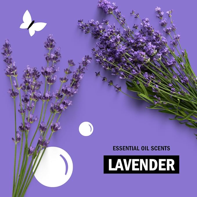 Molly's Suds Liquid Dish Soap | Clean, Simple Ingredients | Extra Scrubbing Power | Lavender Scent, 24 oz - 2 Pack