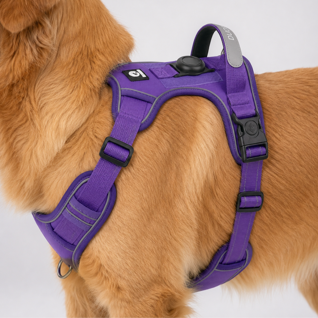 Adjustable No-Pull Dog Harness