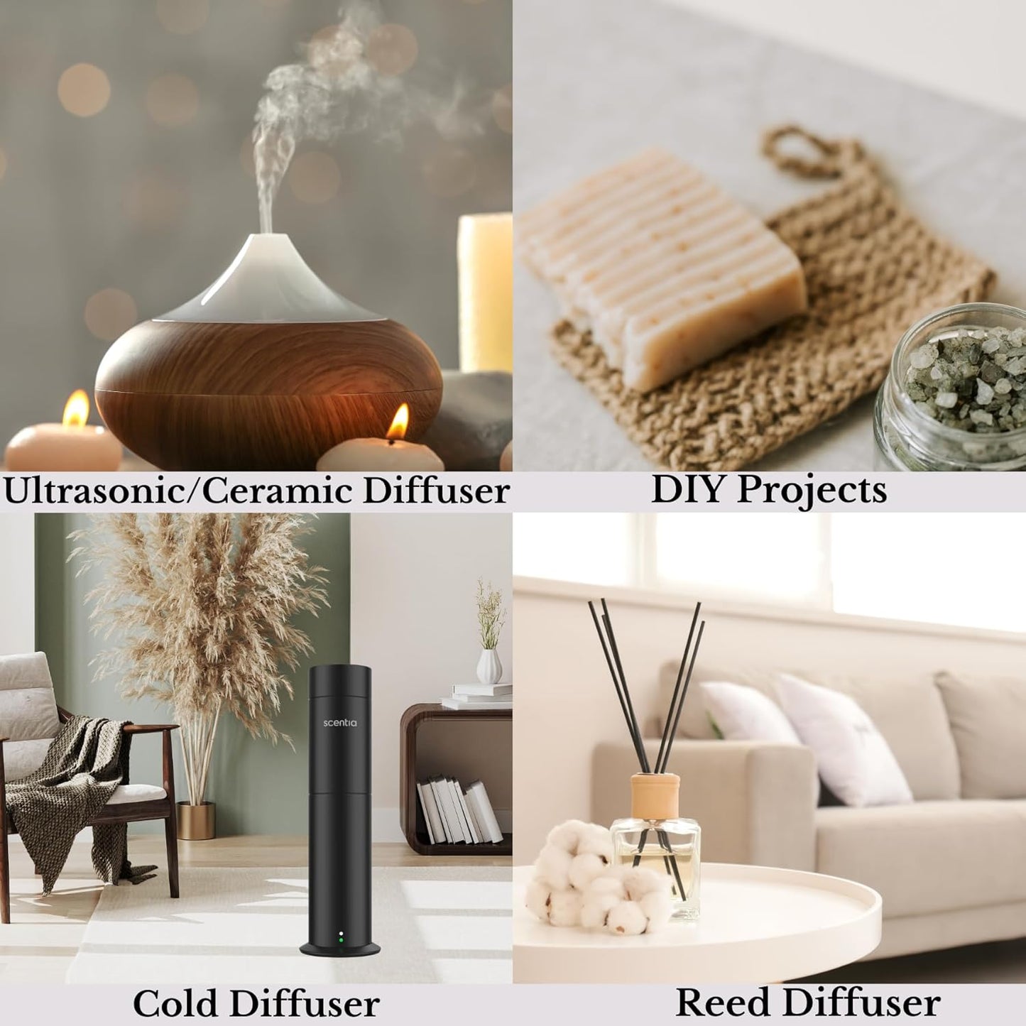 Scentia Hotel Diffuser Oil - 120 ml 4.06 fl oz - Fragrance Oil Blend with White Tea, Natural Home Fragrance and Hotel Scent for Diffusers & Machines -Dream Walk, Thanksgiving Gift