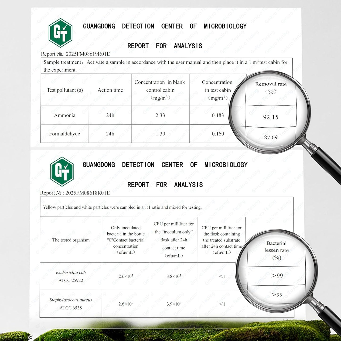 Strongest Refrigerator Deodorizer Odor Eliminator - 24h Fast Odor Removal, 12Months Long-Lasting Freshness, Non-Toxic Formula,1 pack