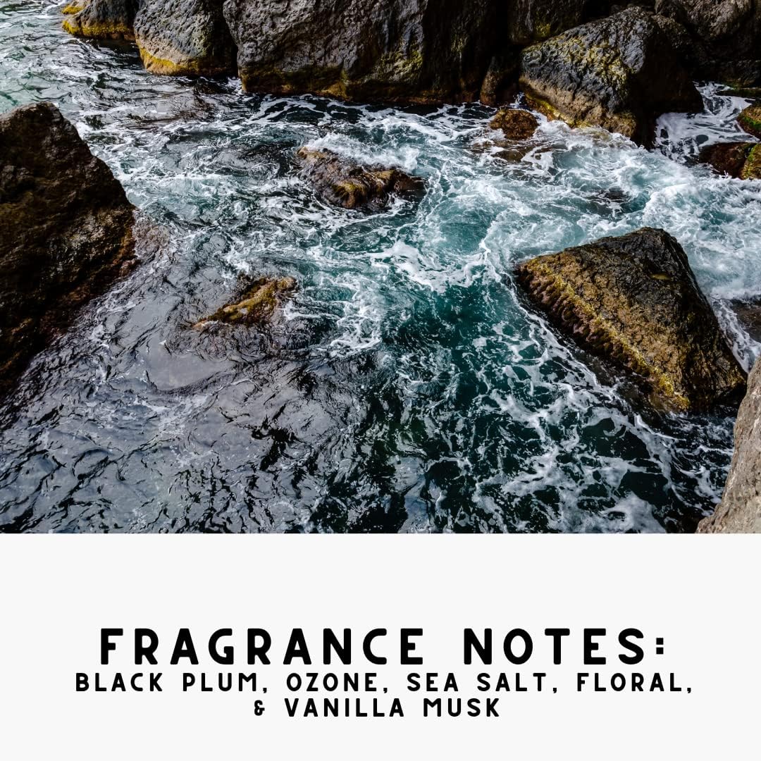 Home "Noir Luxe" Sea Salt & Ozone, Carpet Powde For Vacuumingr, Mattress & Upholstery Freshener With Room Spray, Air/Fabric/Linen Odor Eliminator For Homes With Kids & Pets Bundle