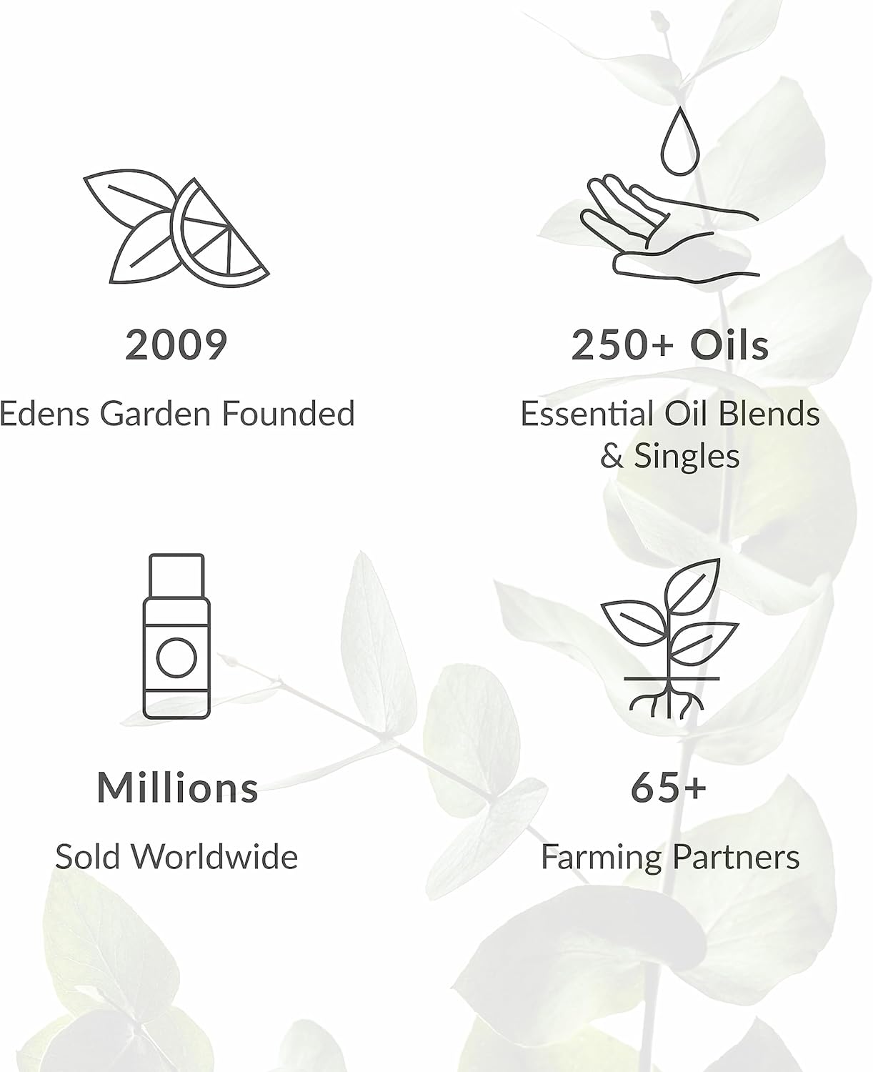 Edens Garden Spring Essential Oils 3 Set – 100% Therapeutic Grade, Fragrance Oil-Free & Undiluted Aromatherapy Blends for Relaxation, Diffusers & Home – Natural Gift for Wellness, 10 ml/ 3 Pack