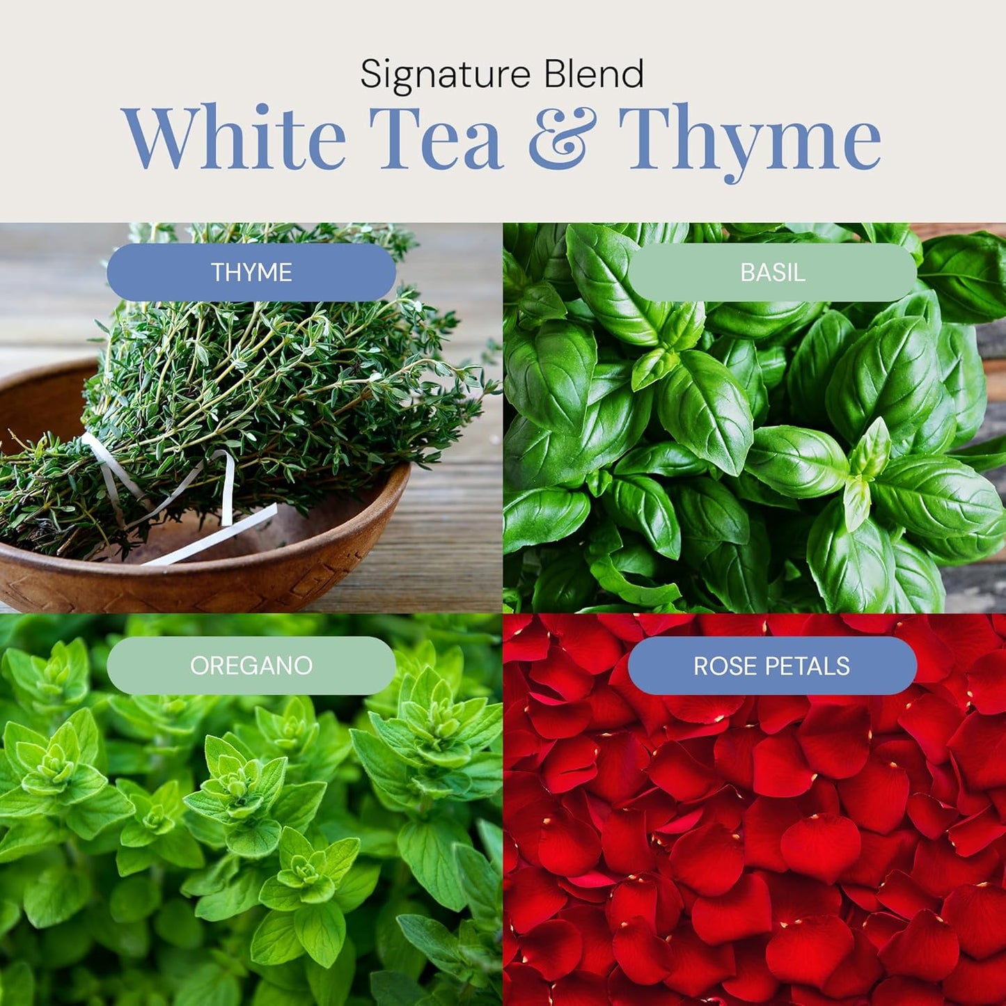 White Tea & Thyme Aroma Oil, Essential Oils Blend for Diffusers & Scent Machines, Rose Petals, Thyme & Balsam, Aromatherapy, Cold Air Diffuser Compatible, 300 mL