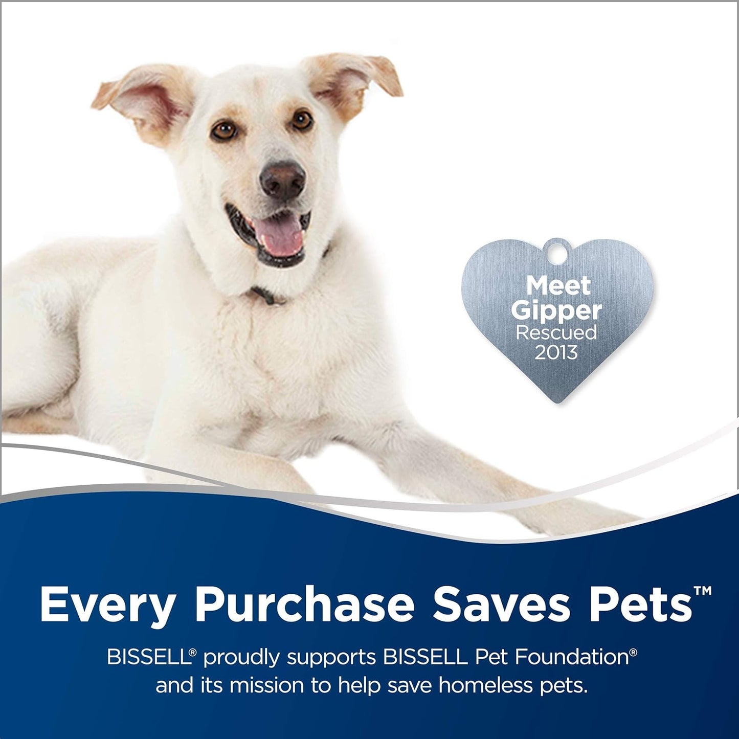 Bissell Featherweight Stick Lightweight Bagless Vacuum with Crevice Tool, 2033, One Size Fits All, Blue