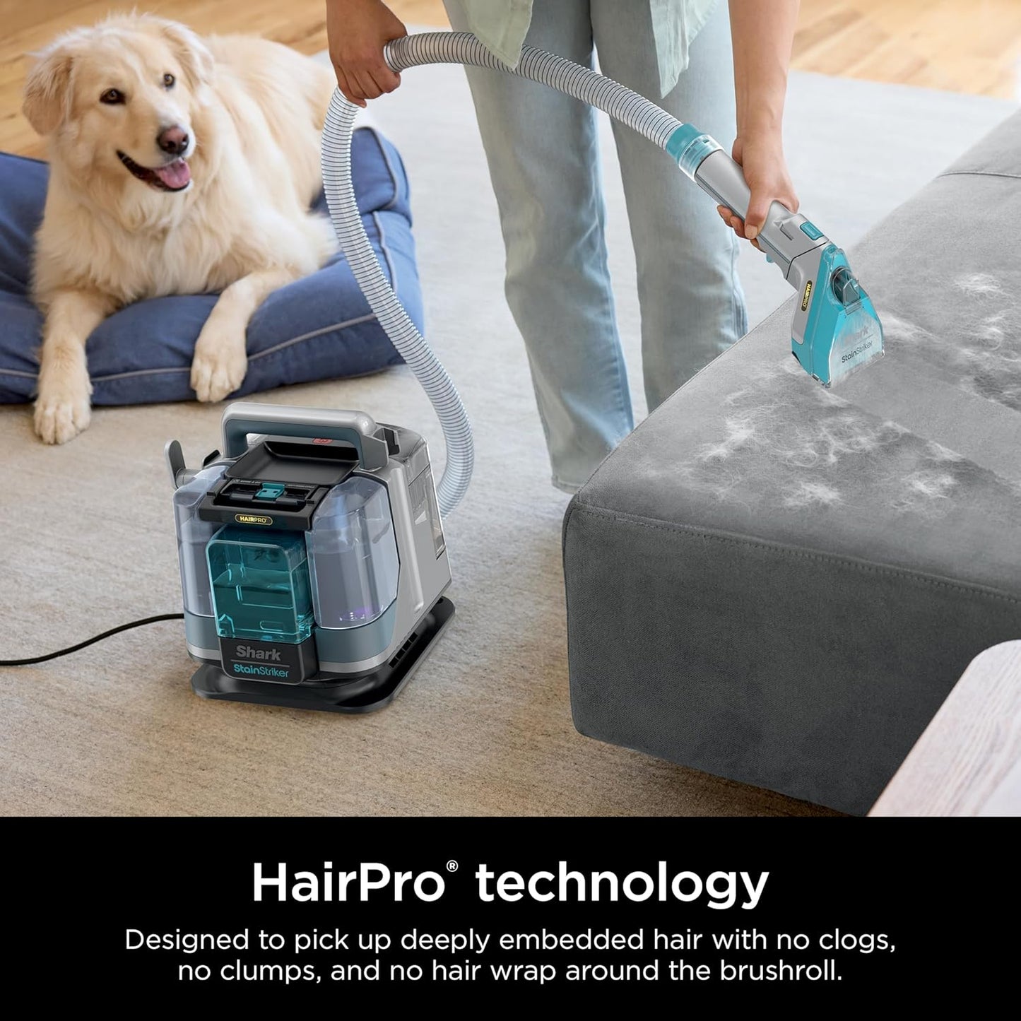 Shark StainStriker HairPro Portable Carpet, Upholstery & Area Rug Cleaner, Self-Cleaning, Stain, Hair & Odor Remover, Perfect for Pets & Car Interiors, 3 Tools & Pet Cleaning Solution, Teal, PX253BRN