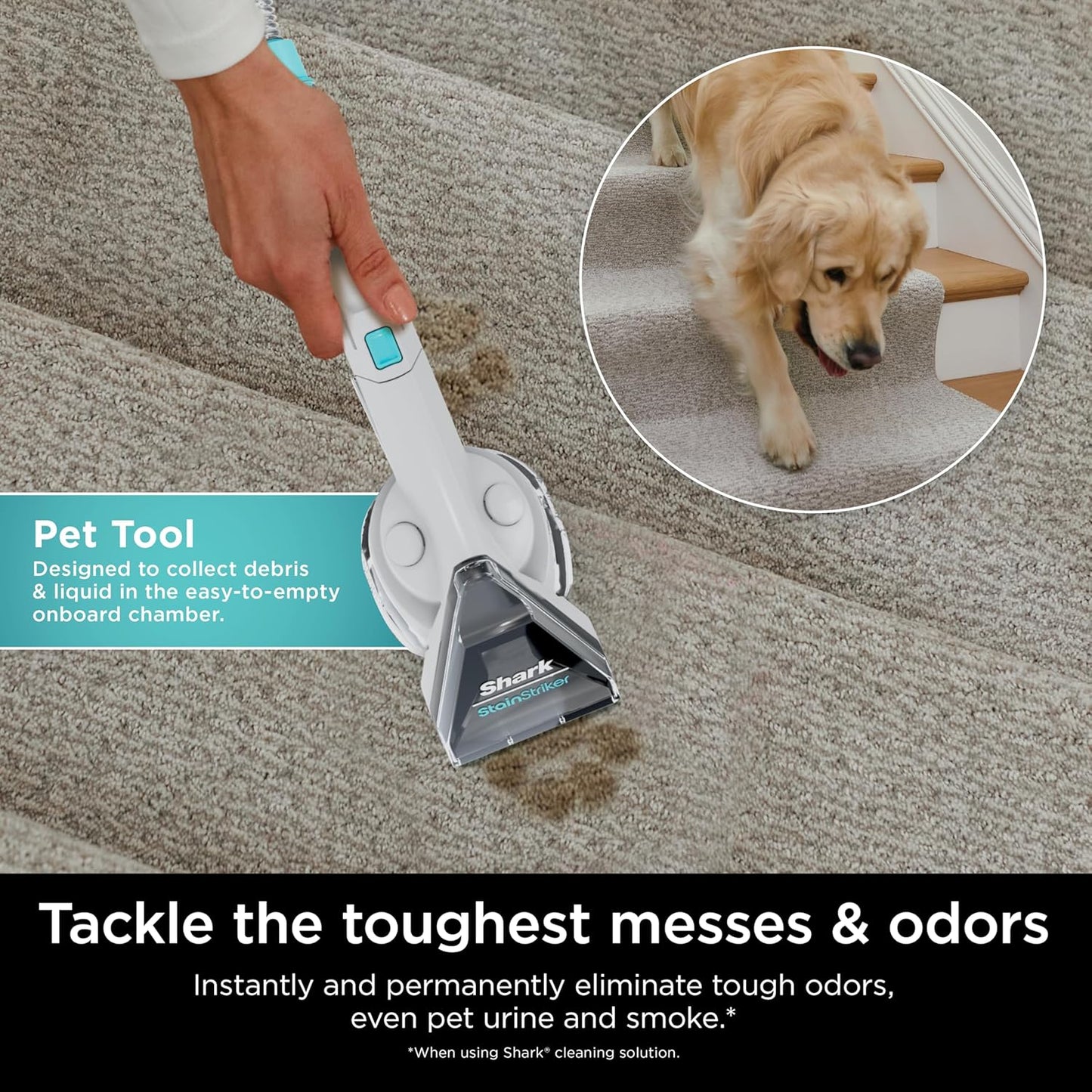 Shark StainStriker Portable Carpet, Upholstery & Area Rug Cleaner with Pet Mess Tool, Stain & Odor Remover, Perfect for Car Interiors, Includes 3 Cleaning Tools & Cleaning Solution, White, PX201