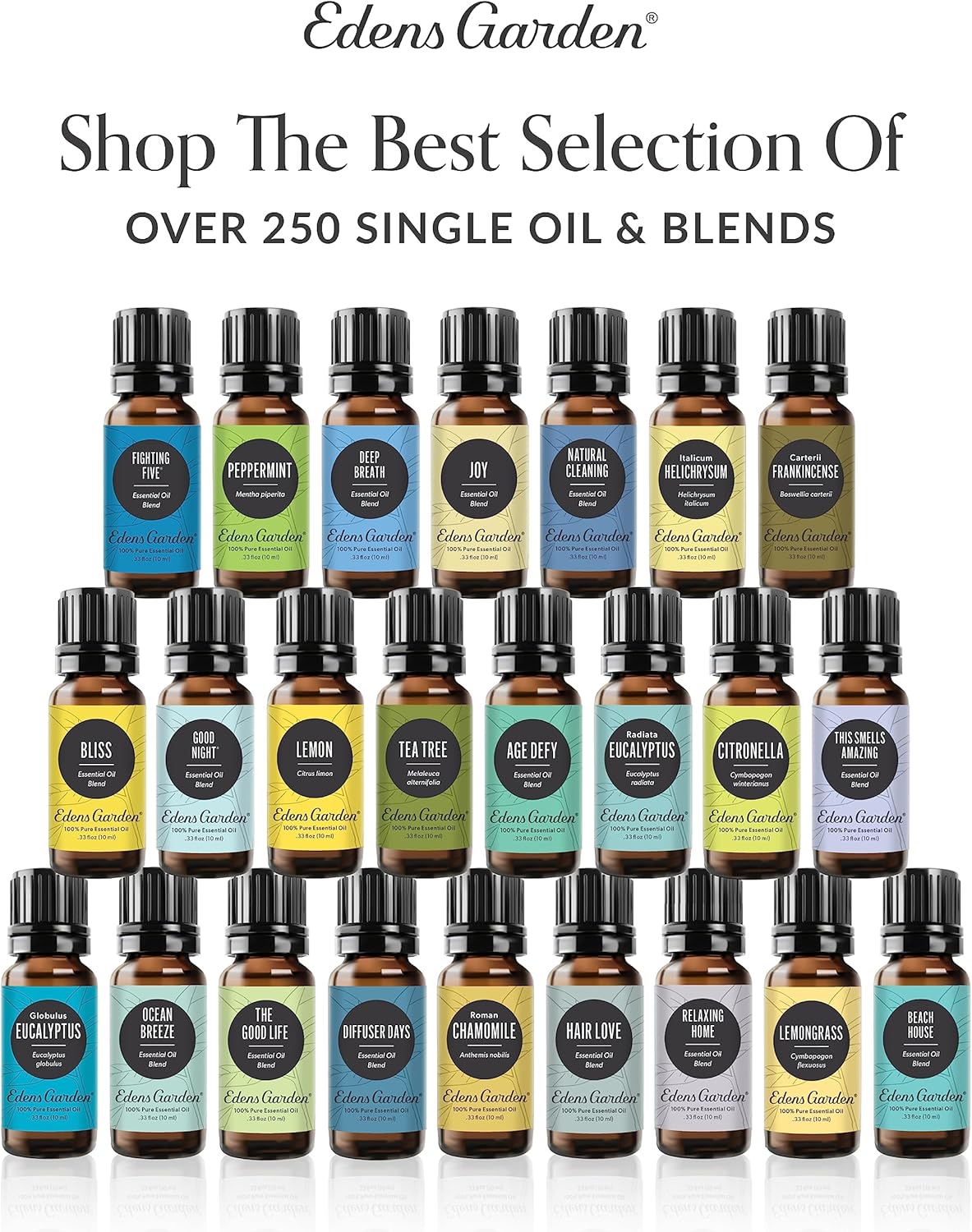 Edens Garden Christmas Essential Oil Blends Holiday 3 Set – 100% Pure Therapeutic Grade, Natural & Free of Fragrance Oil – for Autumn & Winter Festive Season - Ideal for Home Diffusers, 10 ml/ 3 Pack