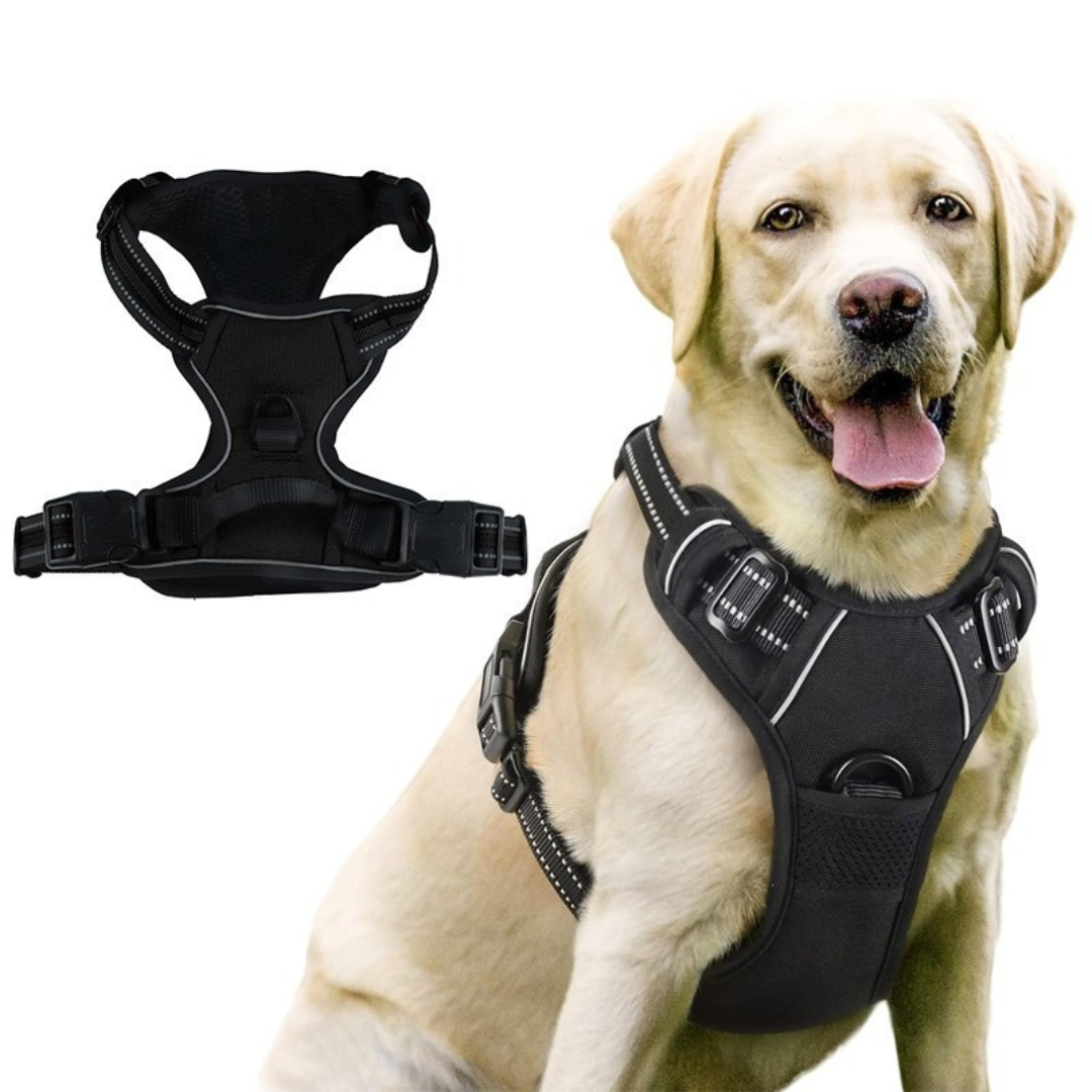 Adjustable Dog Action Camera Harness