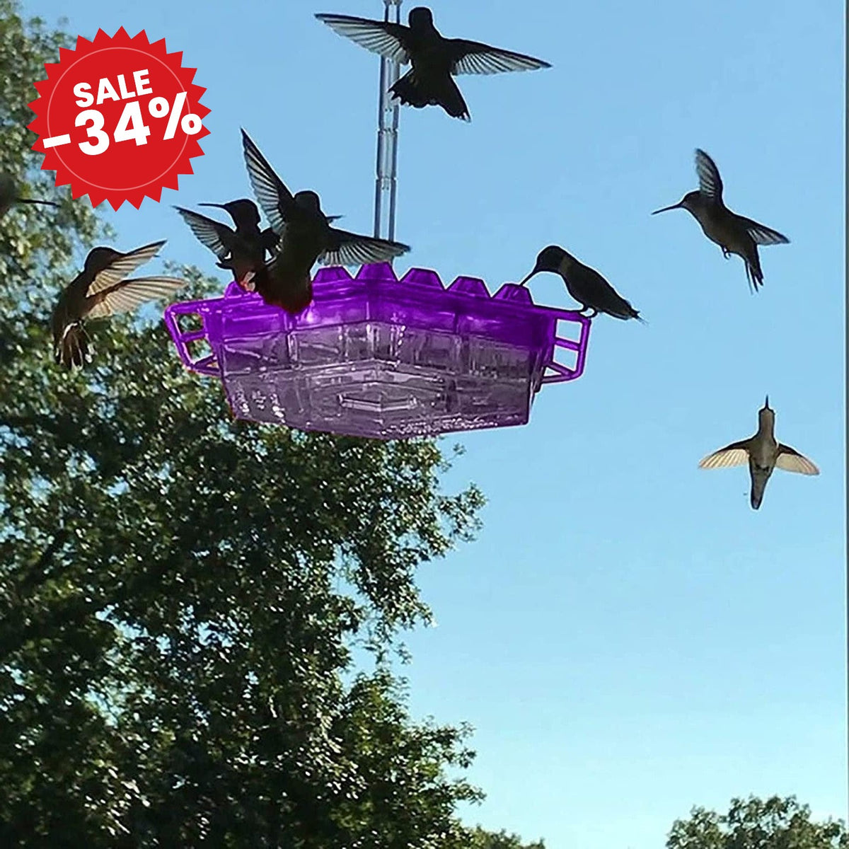 Hummingbird Feeder | 30 Feeding Ports with Ant Moat - SALE -34%