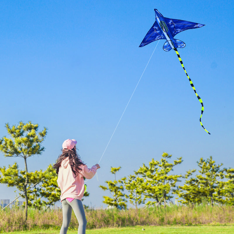 Kids Outdoor Easy Flying Airplane Kite